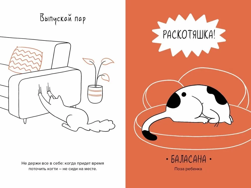 The Cat is the Head of Everything. Cat Wisdoms for a Stress-Free Life