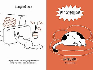 The Cat is the Head of Everything. Cat Wisdoms for a Stress-Free Life