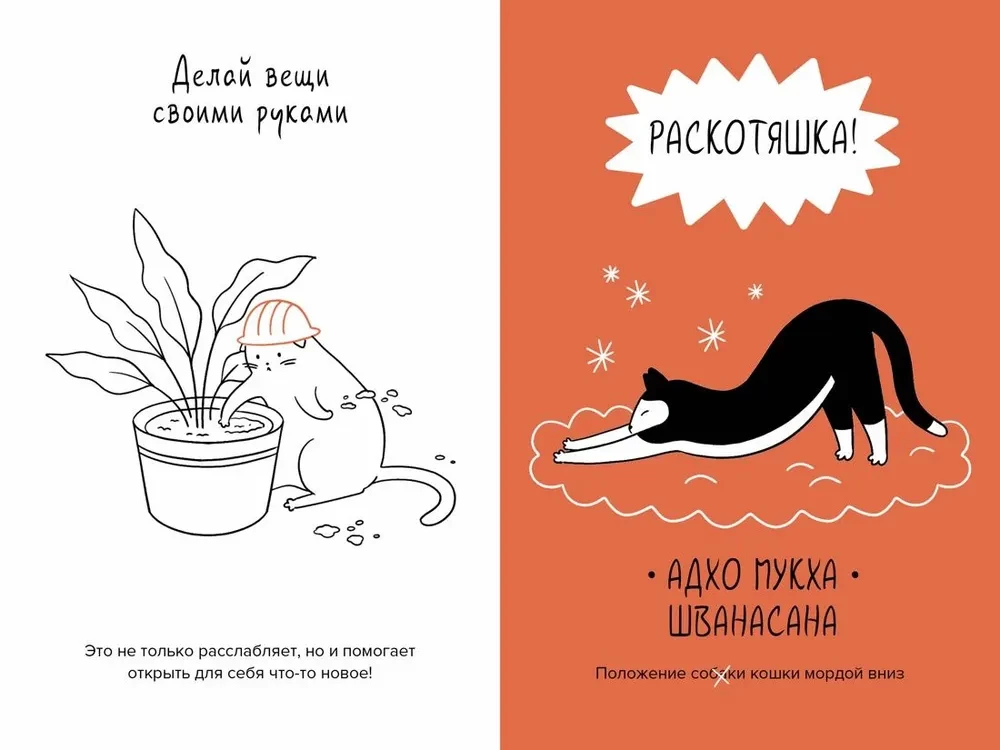 The Cat is the Head of Everything. Cat Wisdoms for a Stress-Free Life