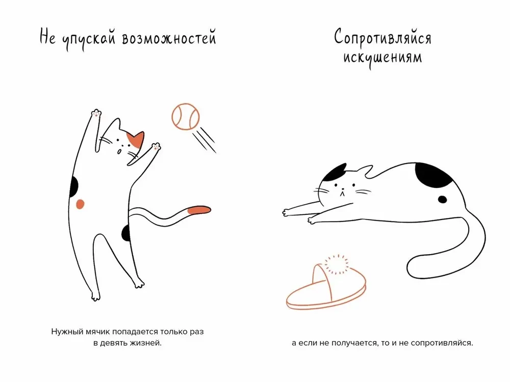 The Cat is the Head of Everything. Cat Wisdoms for a Stress-Free Life