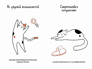 The Cat is the Head of Everything. Cat Wisdoms for a Stress-Free Life