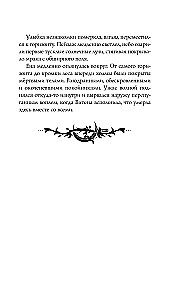 Morana ir Šešėlis. Audėja. Knyga 1