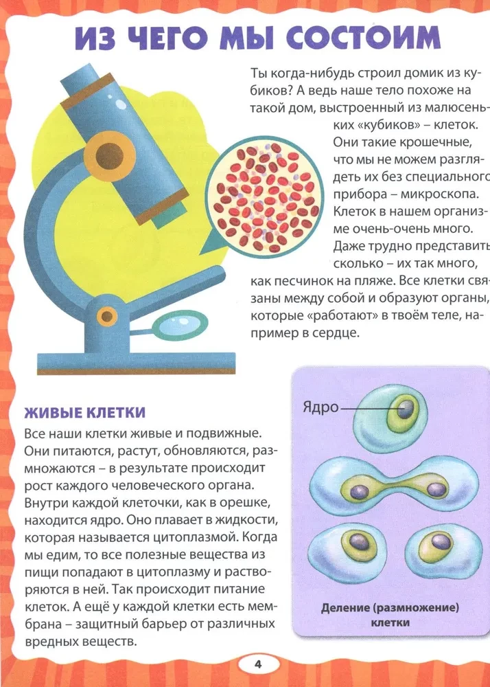 The Human Body. The First Encyclopedia for Toddlers