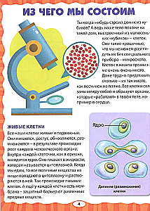The Human Body. The First Encyclopedia for Toddlers