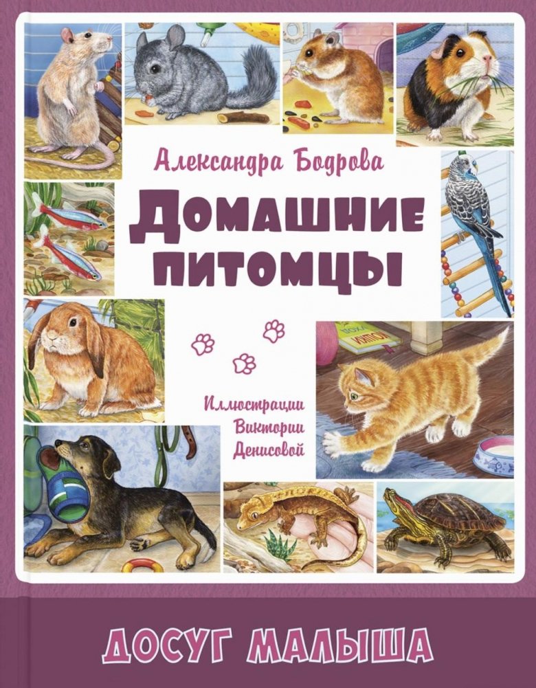 Zwierzęta domowe