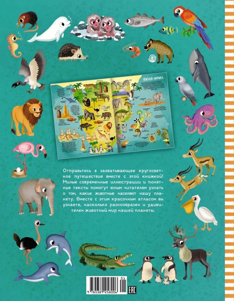 The World of Animals in Pictures