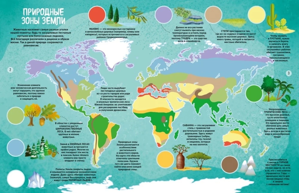 The World of Animals in Pictures