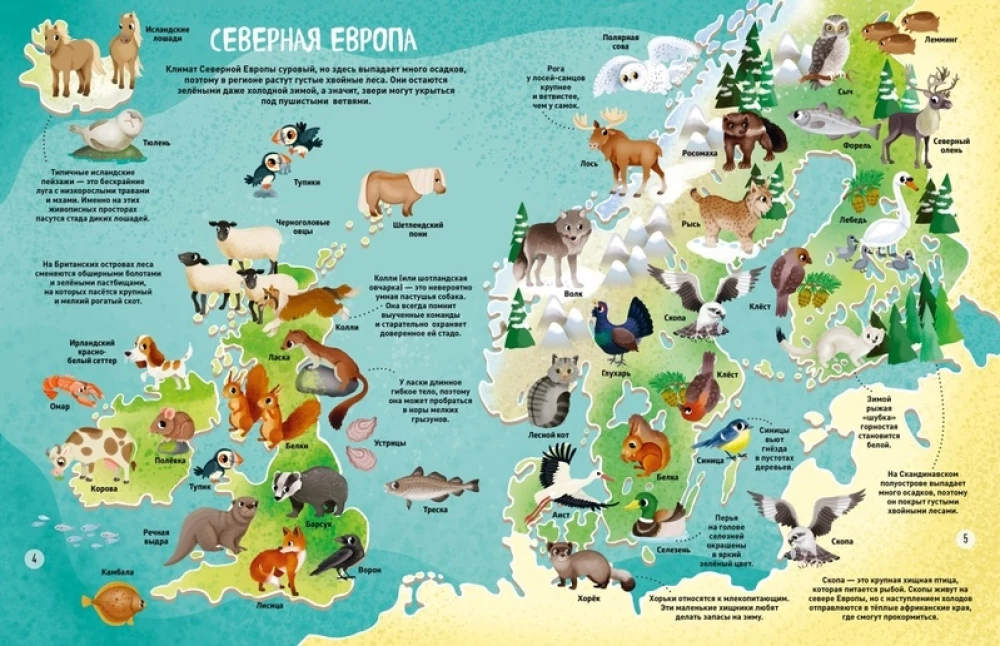 The World of Animals in Pictures