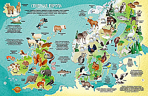 The World of Animals in Pictures