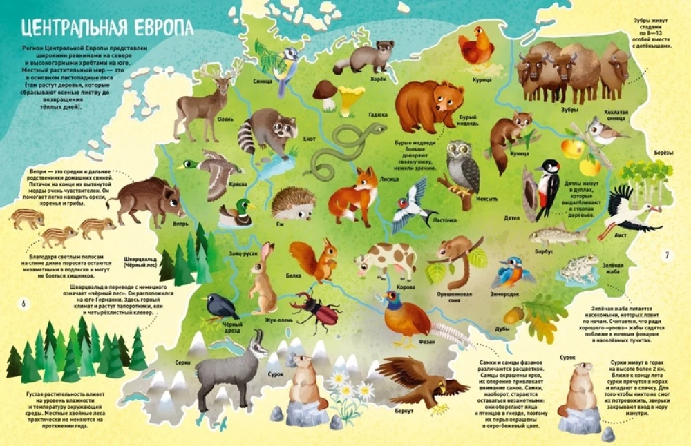 The World of Animals in Pictures
