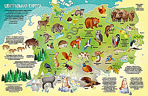 The World of Animals in Pictures