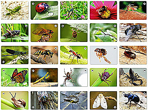 Board Game - Memo World of Insects and Beyond