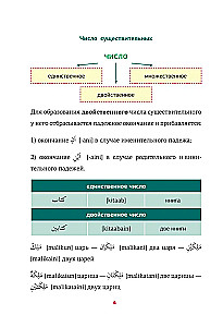 Арабская грамматика в схемах и таблицах