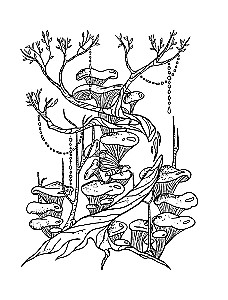 Alchemy of Time. Coloring-Meditation