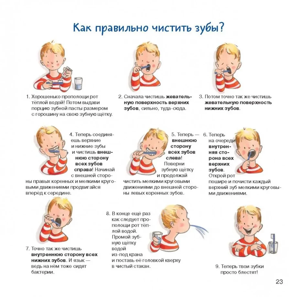 Tooth Book. All about your baby teeth