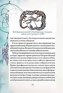 Ловцы снов. Путь к исполнению твоей мечты
