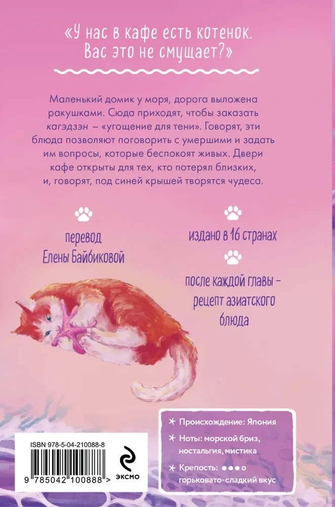 Котенок и кафе на краю океана