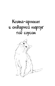 Котенок и кафе на краю океана