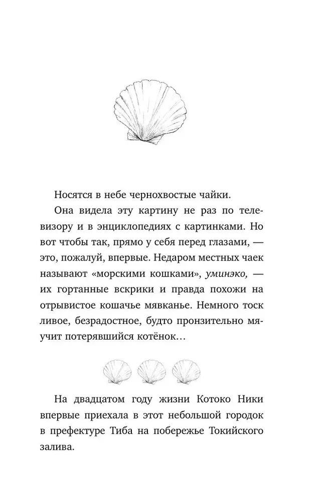 Котенок и кафе на краю океана