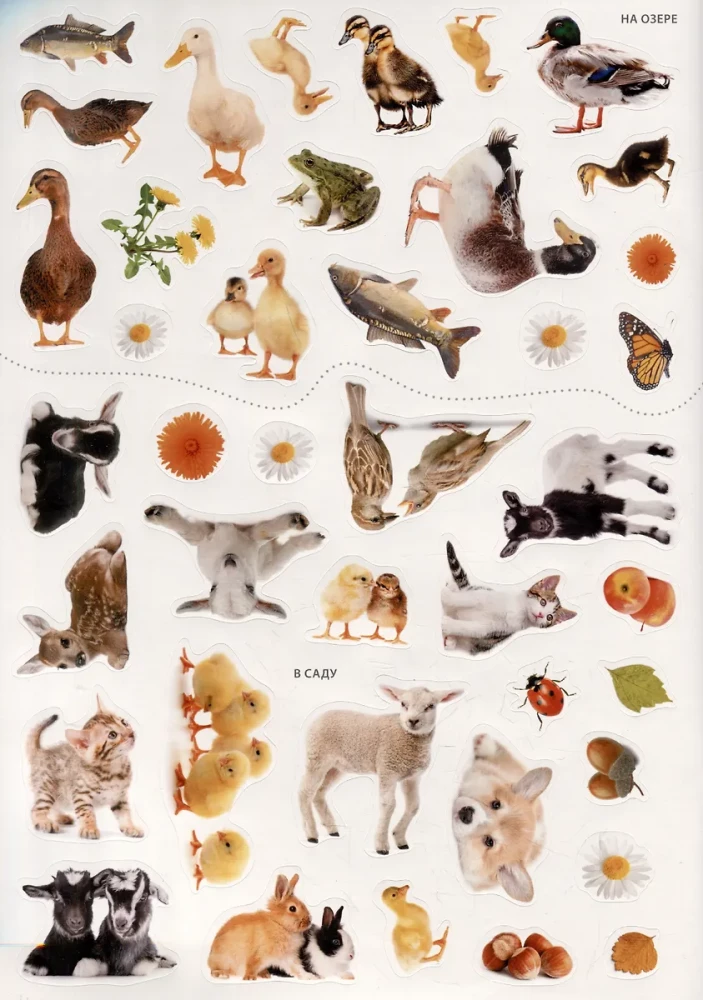 Photo Stickers. The World of Animals