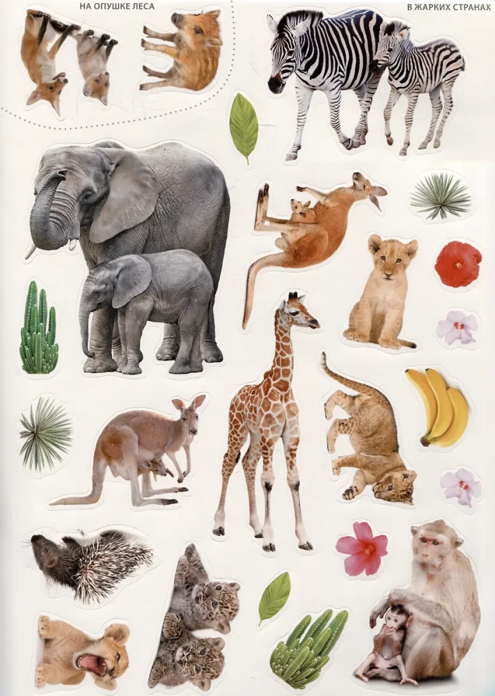 Photo Stickers. The World of Animals