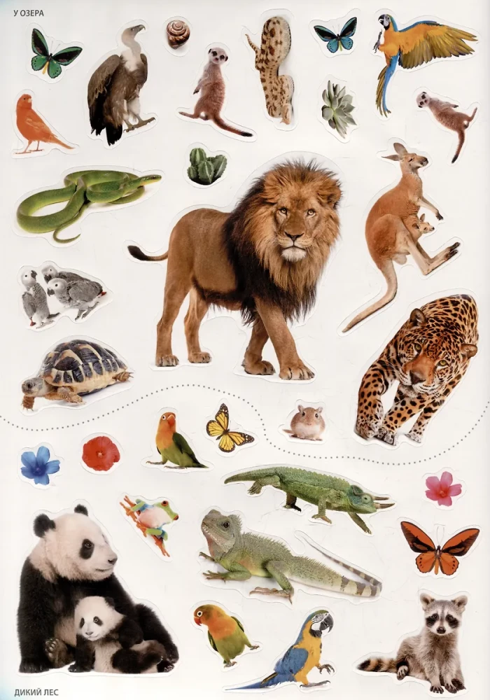 Photo Stickers. In the Zoo
