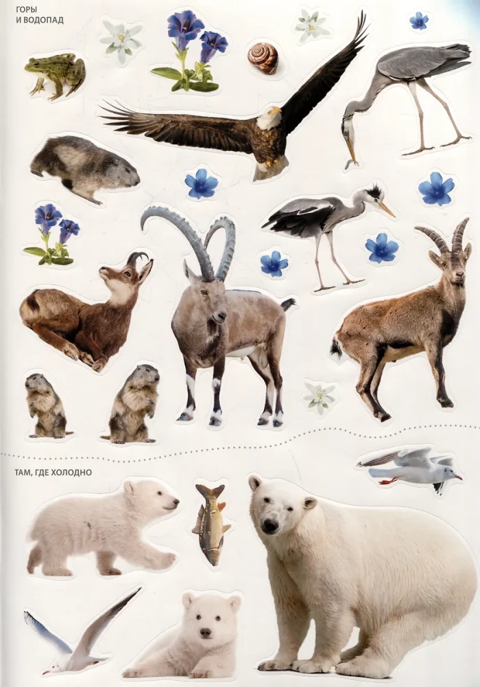 Photo Stickers. In the Zoo