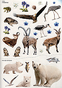 Photo Stickers. In the Zoo
