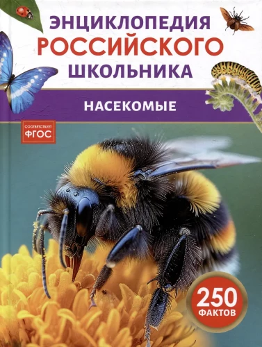 Насекомые