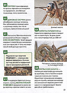 Насекомые