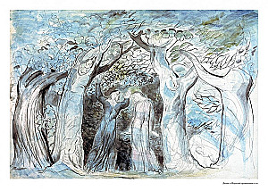 The Divine Comedy (set with shopper)