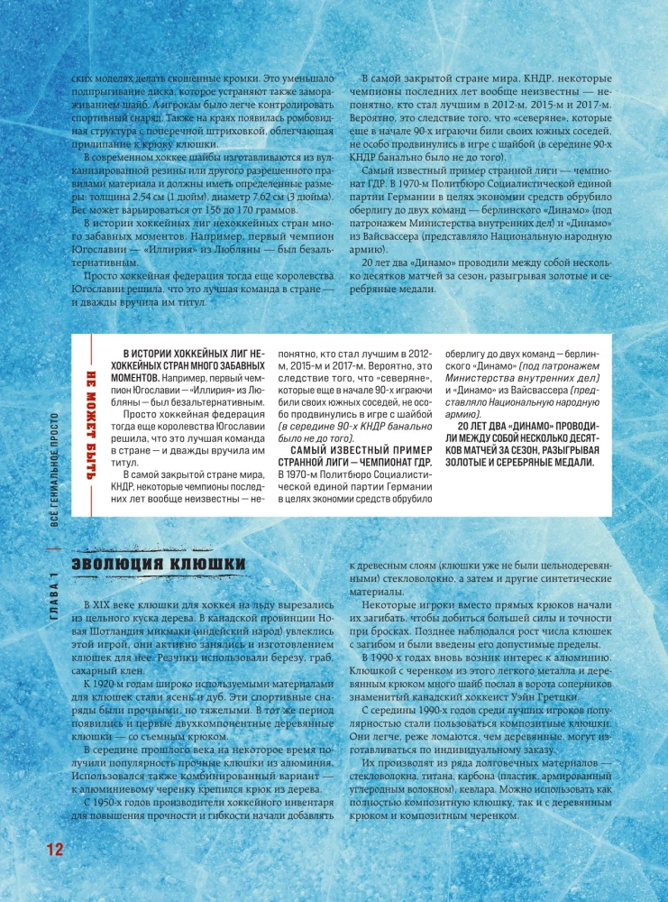 The Great Encyclopedia of Hockey. Everything about the beloved game: from its origins to the present day