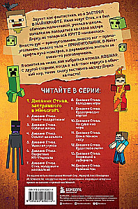 Steve's Diary, Stuck in Minecraft