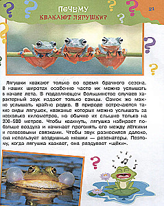 The Big Book of Why