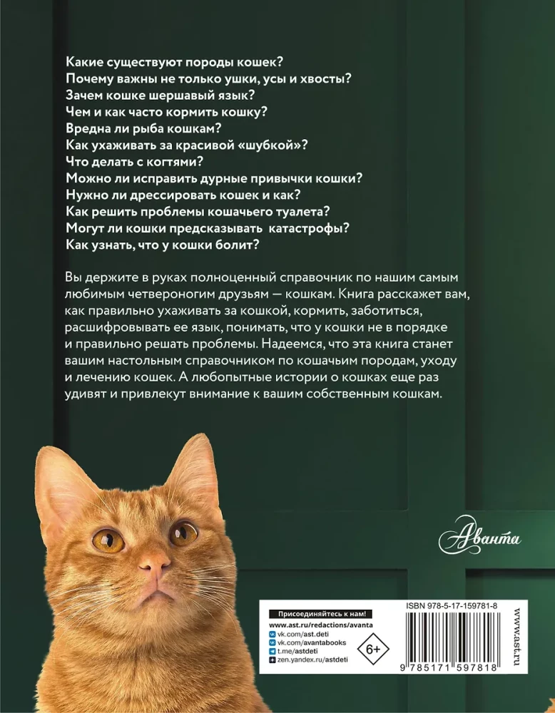 Kot. Pełny przewodnik po wychowaniu i pielęgnacji