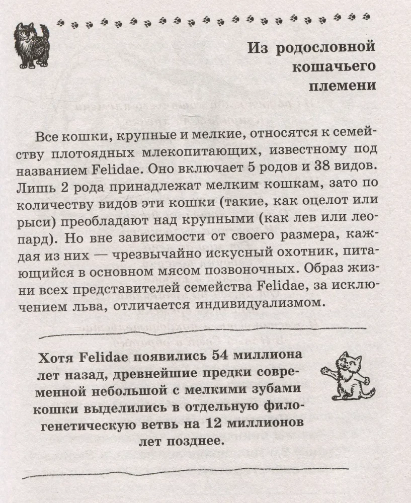Kot. Pełny przewodnik po wychowaniu i pielęgnacji