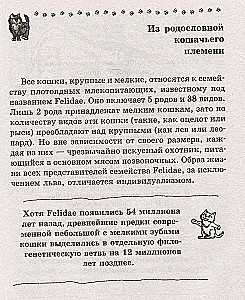 Kot. Pełny przewodnik po wychowaniu i pielęgnacji