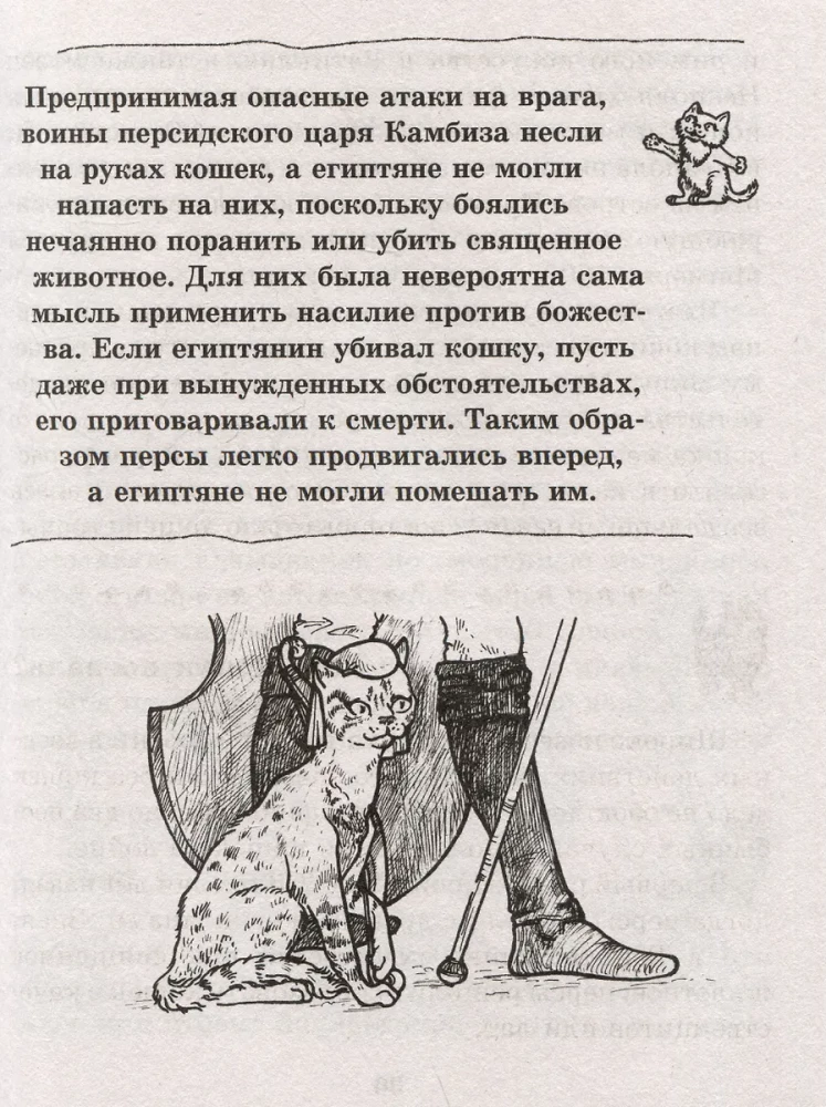 Kot. Pełny przewodnik po wychowaniu i pielęgnacji