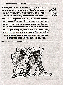 Kot. Pełny przewodnik po wychowaniu i pielęgnacji