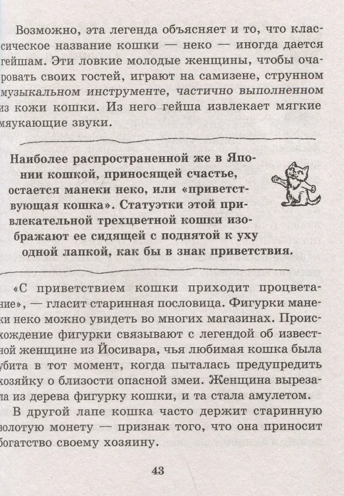 Kot. Pełny przewodnik po wychowaniu i pielęgnacji