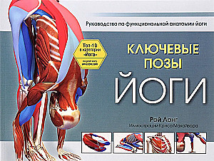 Kluczowe pozycje jogi: Przewodnik po funkcjonalnej anatomii jogi