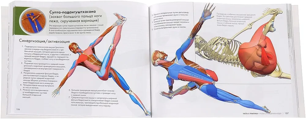 Kluczowe pozycje jogi: Przewodnik po funkcjonalnej anatomii jogi