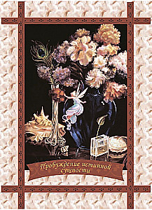 Cards - The Magical Power of Fairies (44 cards + instruction)