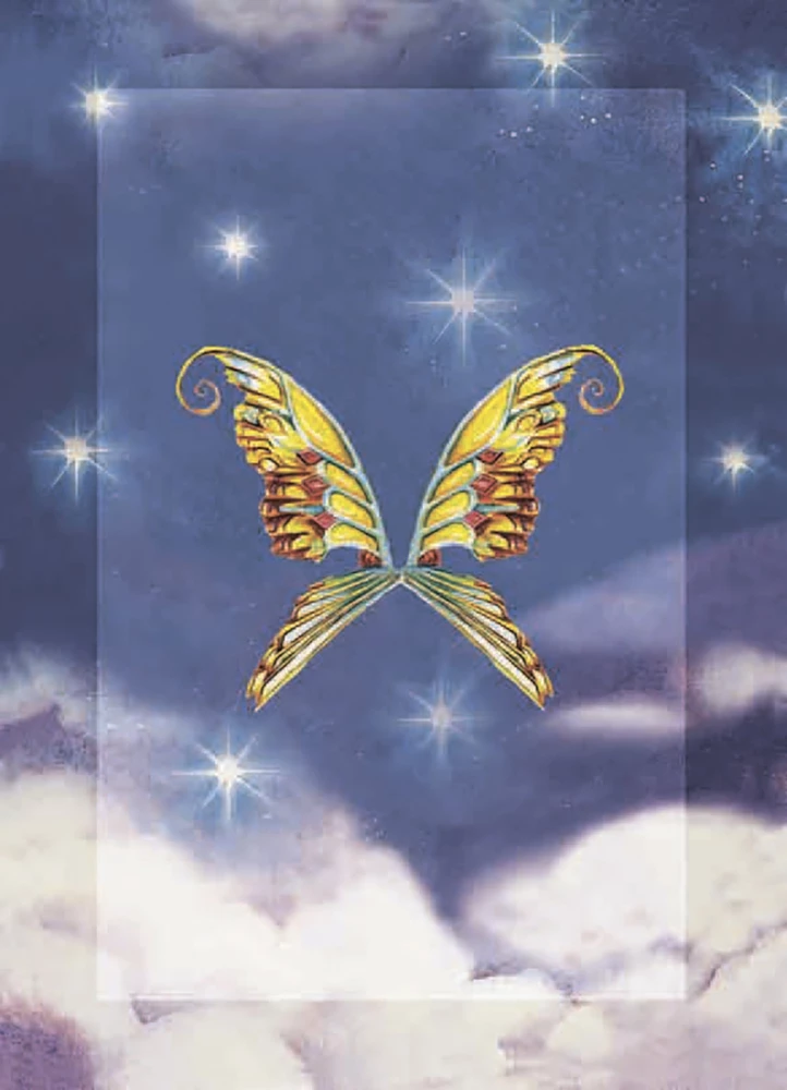 Cards - The Magical Power of Fairies (44 cards + instruction)