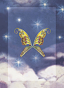 Cards - The Magical Power of Fairies (44 cards + instruction)