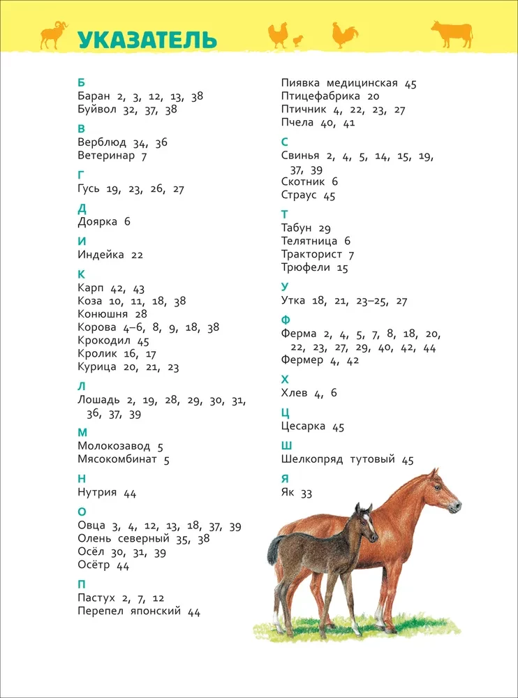 Domestic Animals