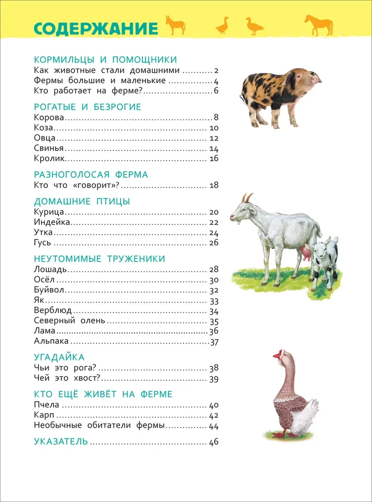 Domestic Animals