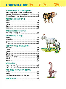 Domestic Animals
