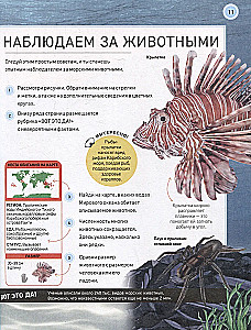 Подводный мир. Полная энциклопедия