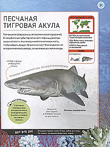 Подводный мир. Полная энциклопедия